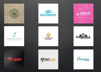 design unique and modern business logo in 12hrs